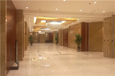 新加坡铂尔曼酒店 DLD-DLC 筒灯